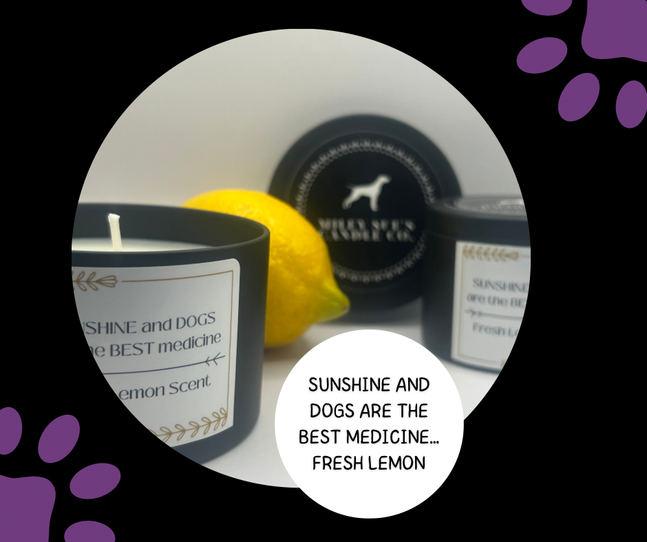 Homemade Soy Dog Candles, SUNSHINE and DOGS are the BEST Medicine, Fresh Lemon Scent, 4oz Tin