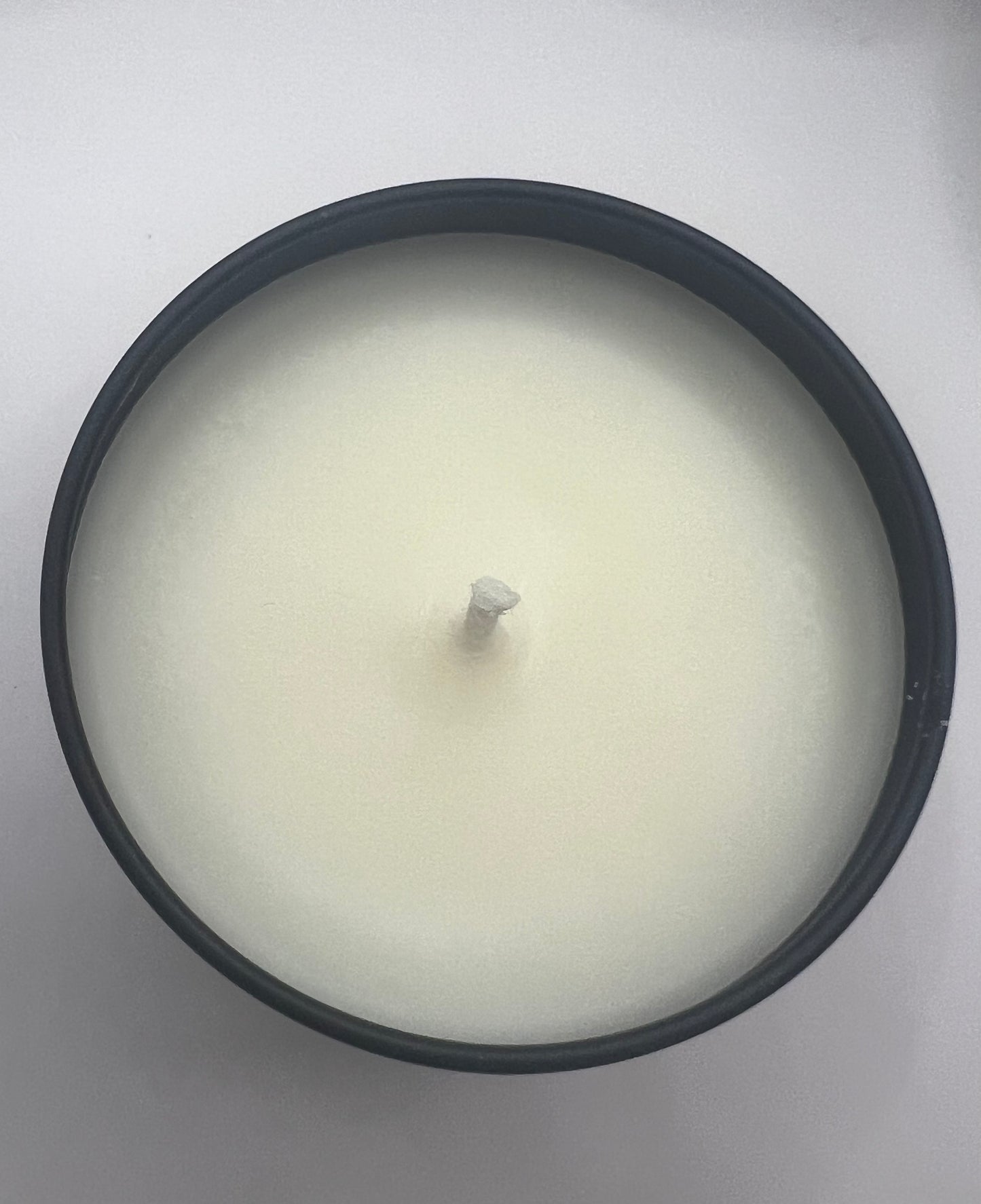 Homemade Soy Dog Candles, SUNSHINE and DOGS are the BEST Medicine, Fresh Lemon Scent, 4oz Tin